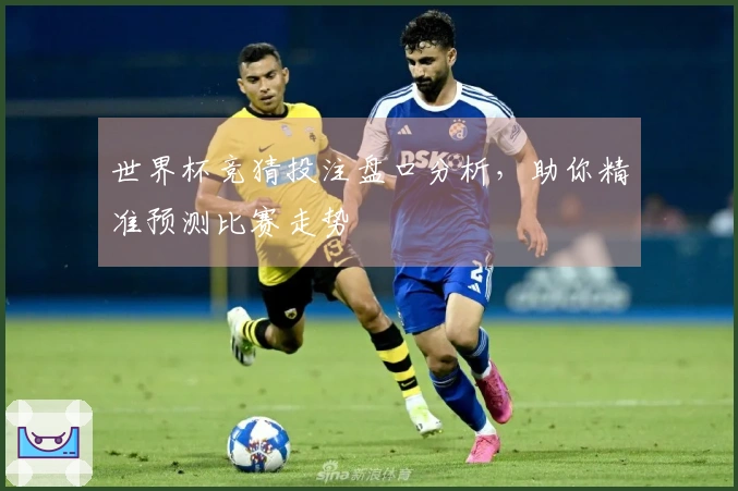 世界杯竞猜投注盘口分析，助你精准预测比赛走势