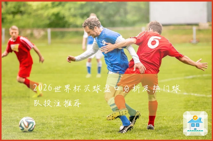 2026世界杯买球盘口分析及热门球队投注推荐