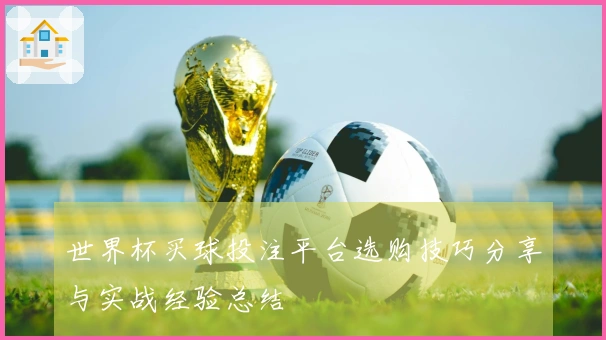 世界杯买球投注平台选购技巧分享与实战经验总结