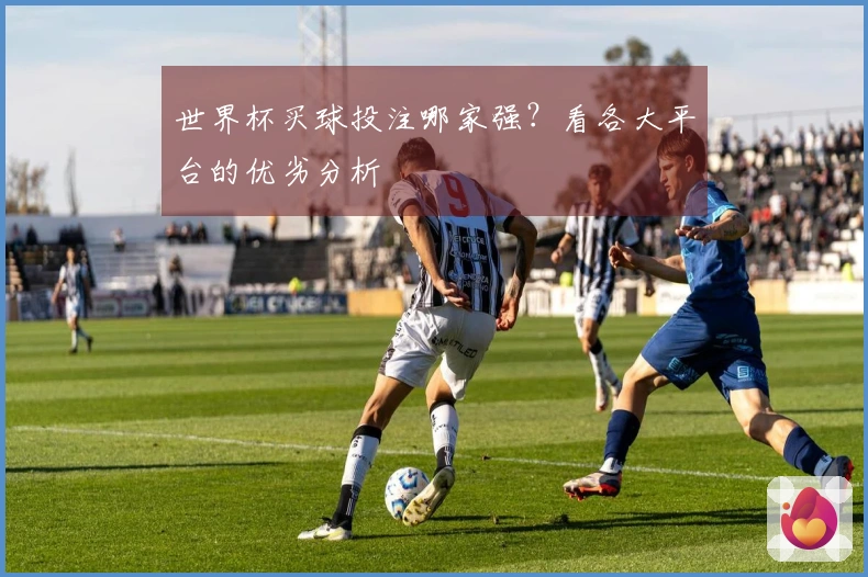 世界杯买球投注哪家强？看各大平台的优劣分析