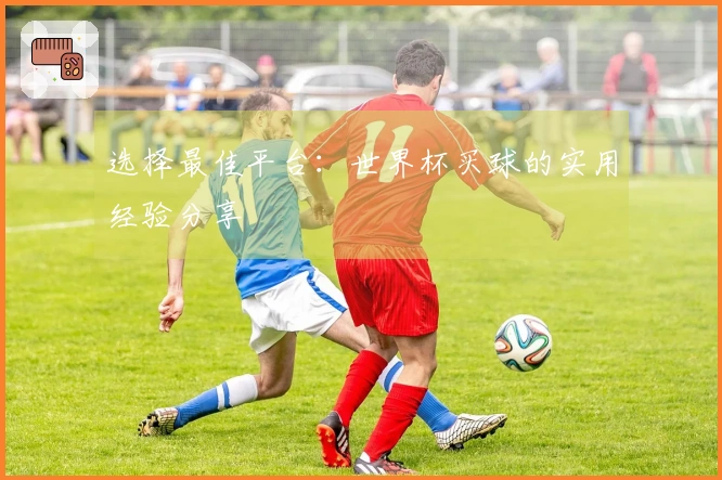 选择最佳平台：世界杯买球的实用经验分享