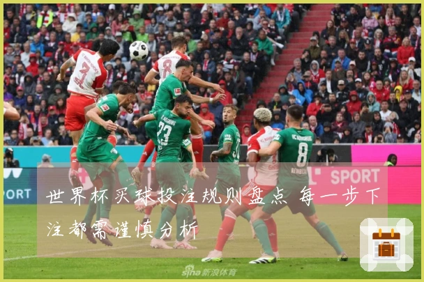 世界杯买球投注规则盘点 每一步下注都需谨慎分析