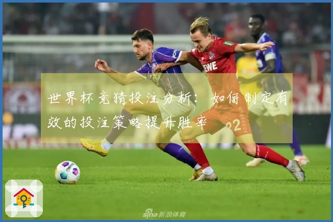 世界杯竞猜投注分析：如何制定有效的投注策略提升胜率
