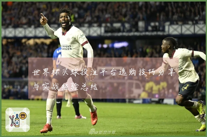 世界杯买球投注平台选购技巧分享与实战经验总结