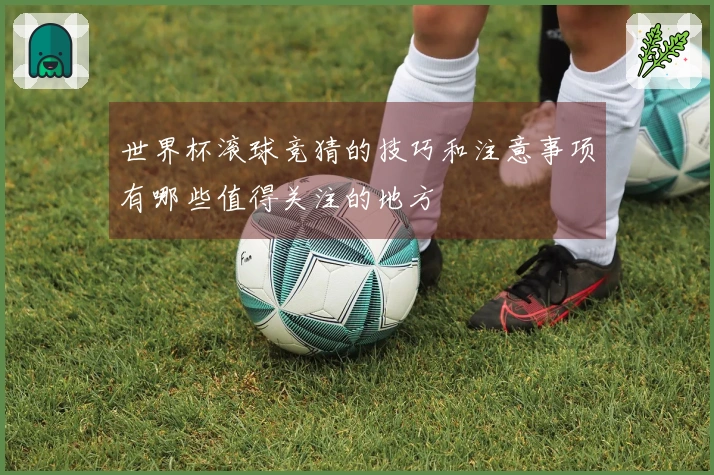 世界杯滚球竞猜的技巧和注意事项有哪些值得关注的地方