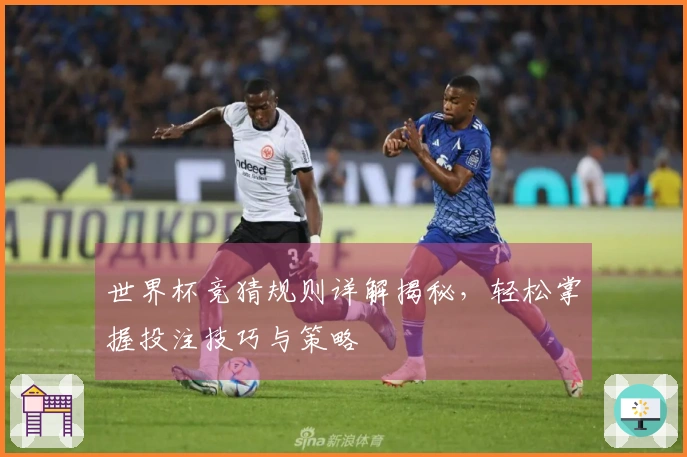 世界杯竞猜规则详解揭秘，轻松掌握投注技巧与策略
