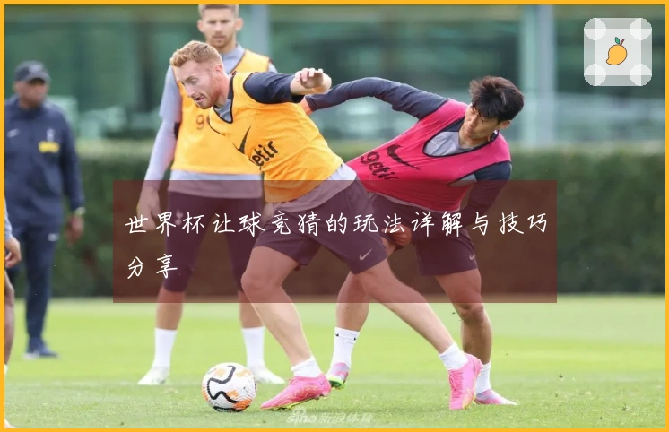 世界杯让球竞猜的玩法详解与技巧分享