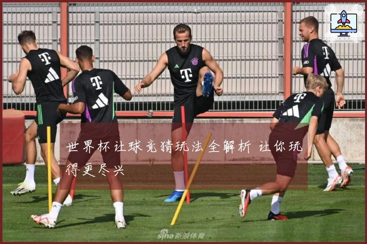 世界杯让球竞猜玩法全解析 让你玩得更尽兴