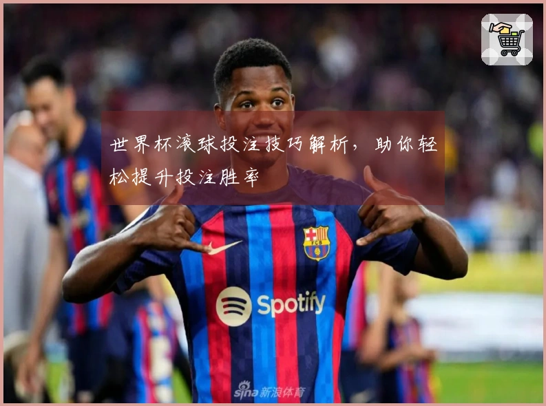 世界杯滚球投注技巧解析，助你轻松提升投注胜率