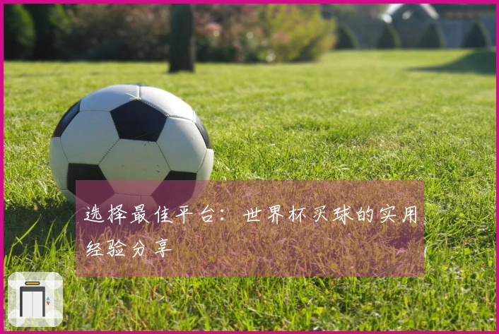 选择最佳平台：世界杯买球的实用经验分享