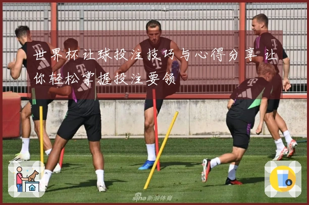 世界杯让球投注技巧与心得分享 让你轻松掌握投注要领