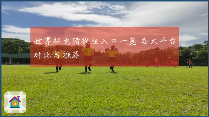 世界杯竞猜投注入口一览 各大平台对比与推荐